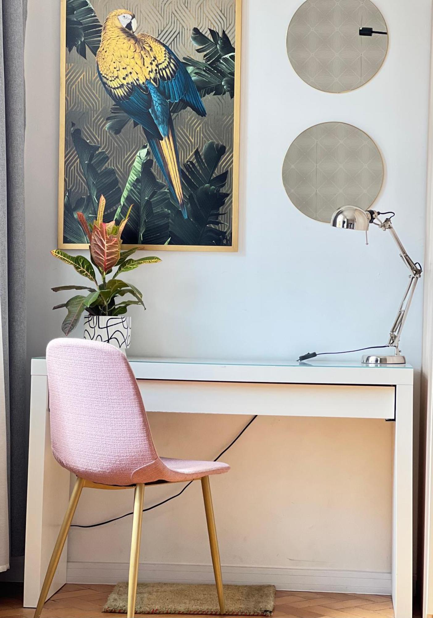 Apartamenty Przy Ratuszu 볼레스와비에츠 외부 사진